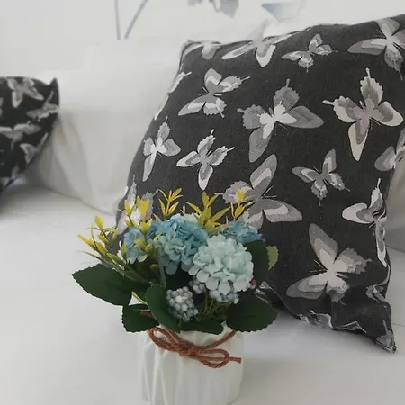 Candy's Dream بيت ضيافة لا سبيتسْيا