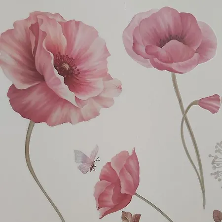 Candy's Dream لا سبيتسْيا