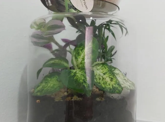 Candy's Dream Gasthof